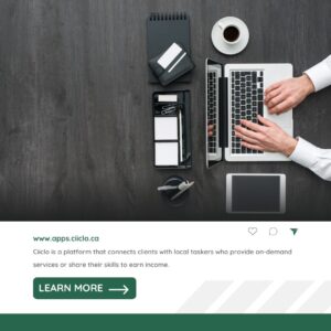 Find Offshore Business Services from Ciiclo