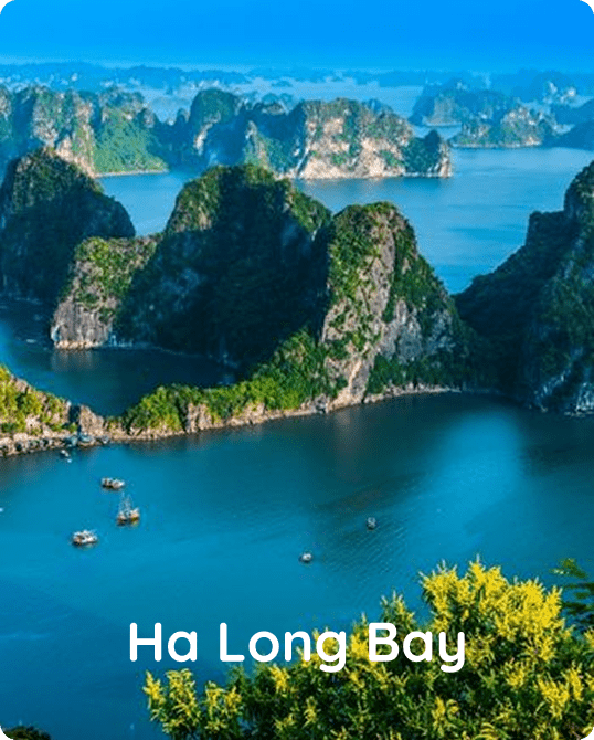 Book Ciiclo when traveling to Ha Long Bay