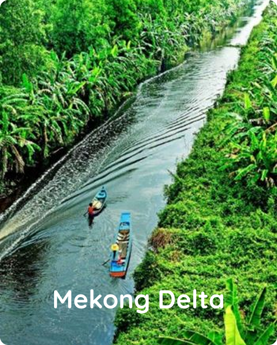 Book Ciiclo when traveling to Mekong Delta