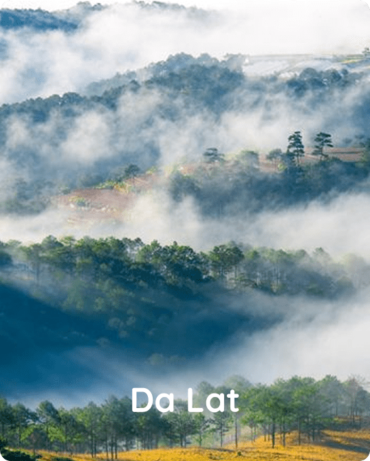 Book Ciiclo when traveling to Da Lat