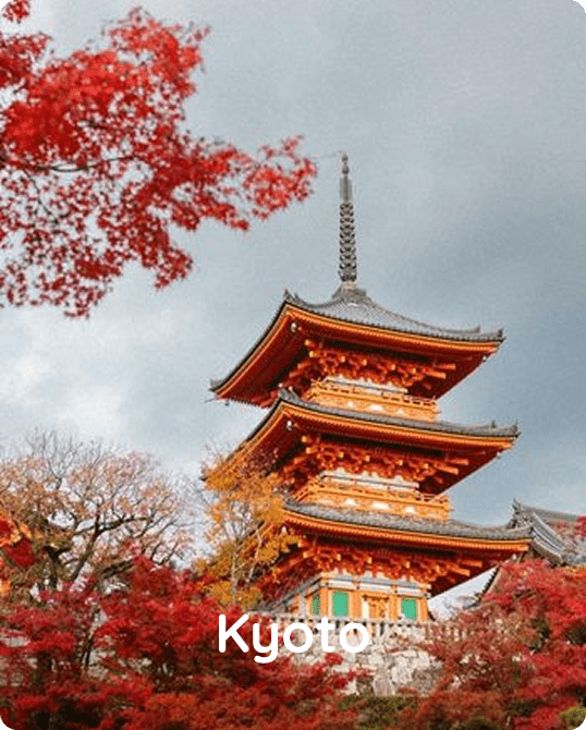 Book Ciiclo when traveling to Kyoto