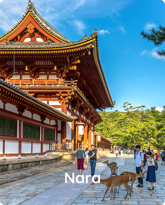 Book Ciiclo when traveling to Nara