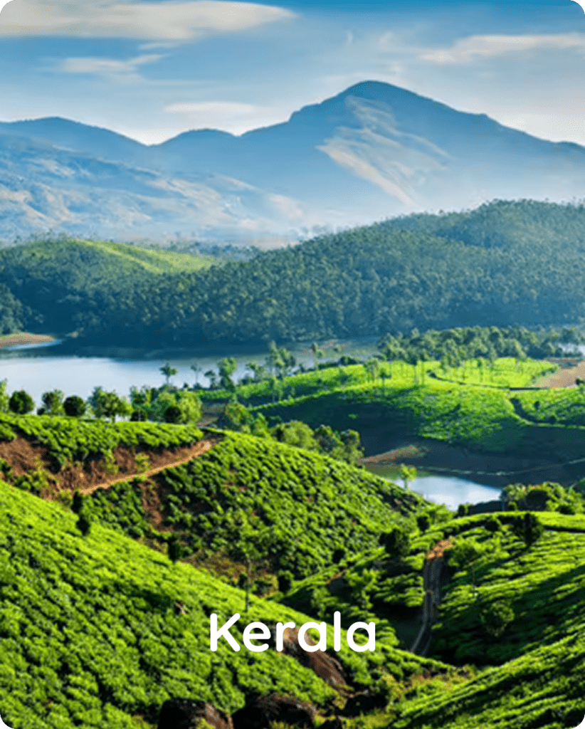 Kerala - Book Travel Services with Ciiclo
